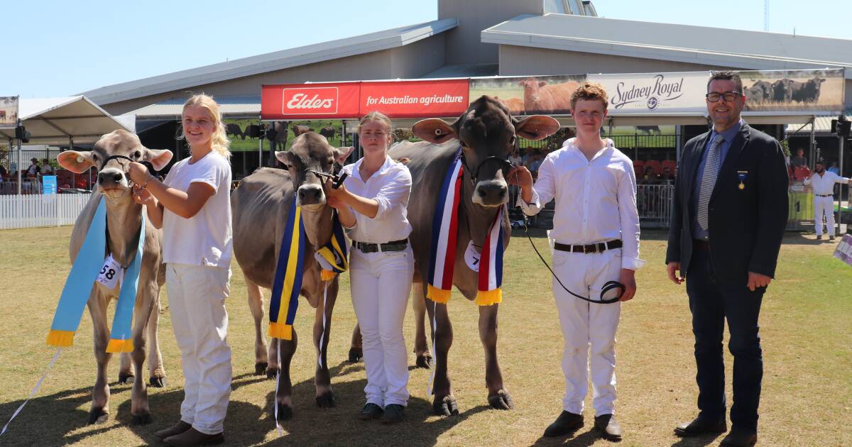 Three sisters claim top spots in Brown Swiss junior females