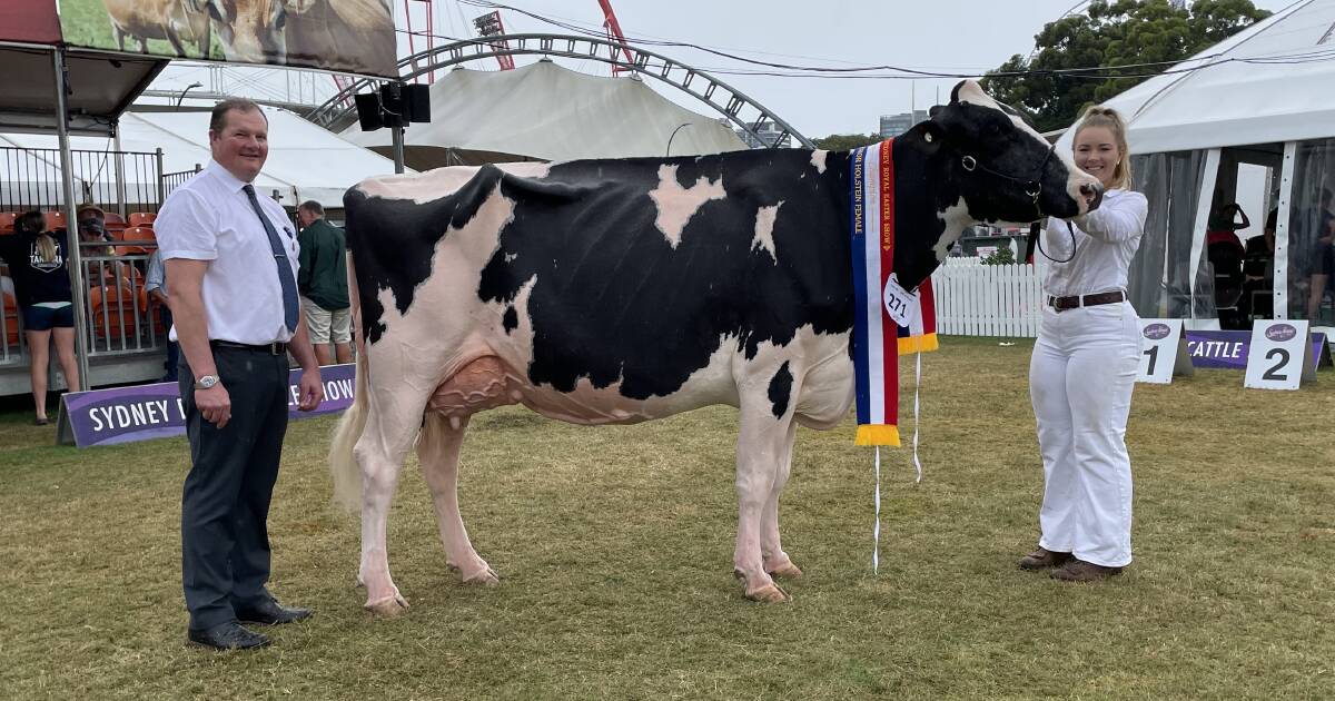 Sydney Royal Dairy Cattle Show Holstein winners 2024 | The Land