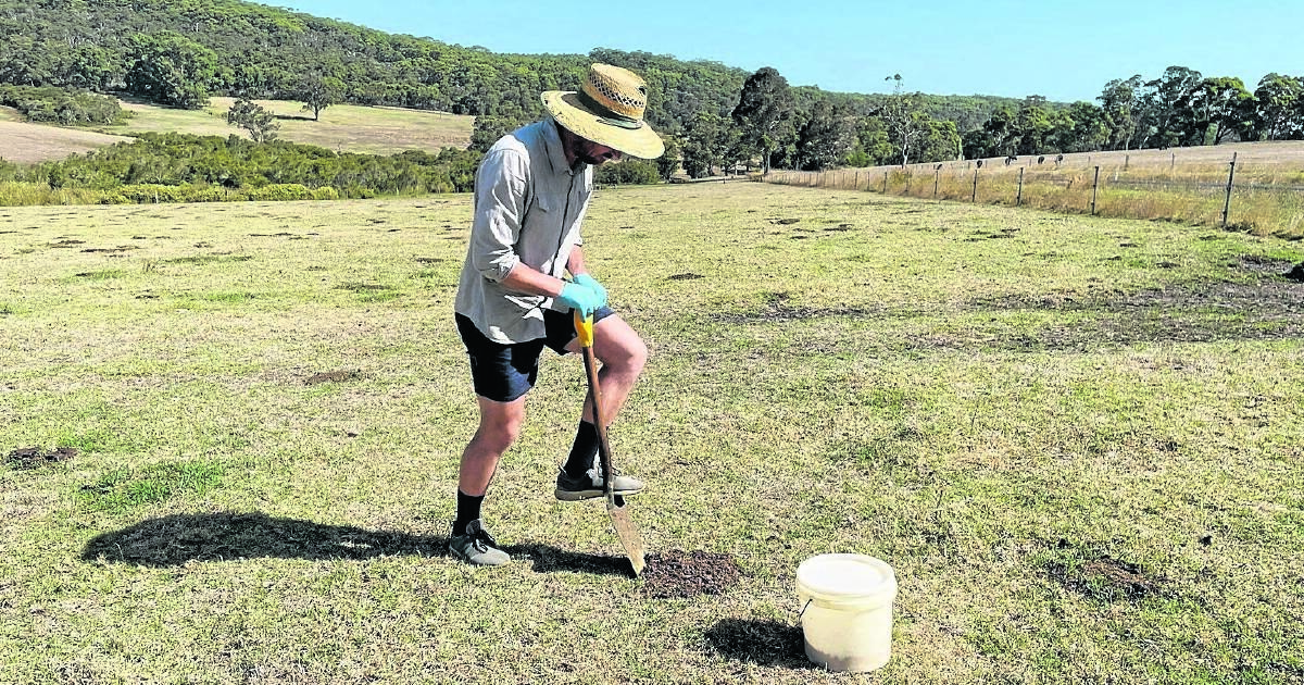 Daniel digs deep with dung beetle study