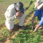 Carbon sequestration boosts soil health at Dederang