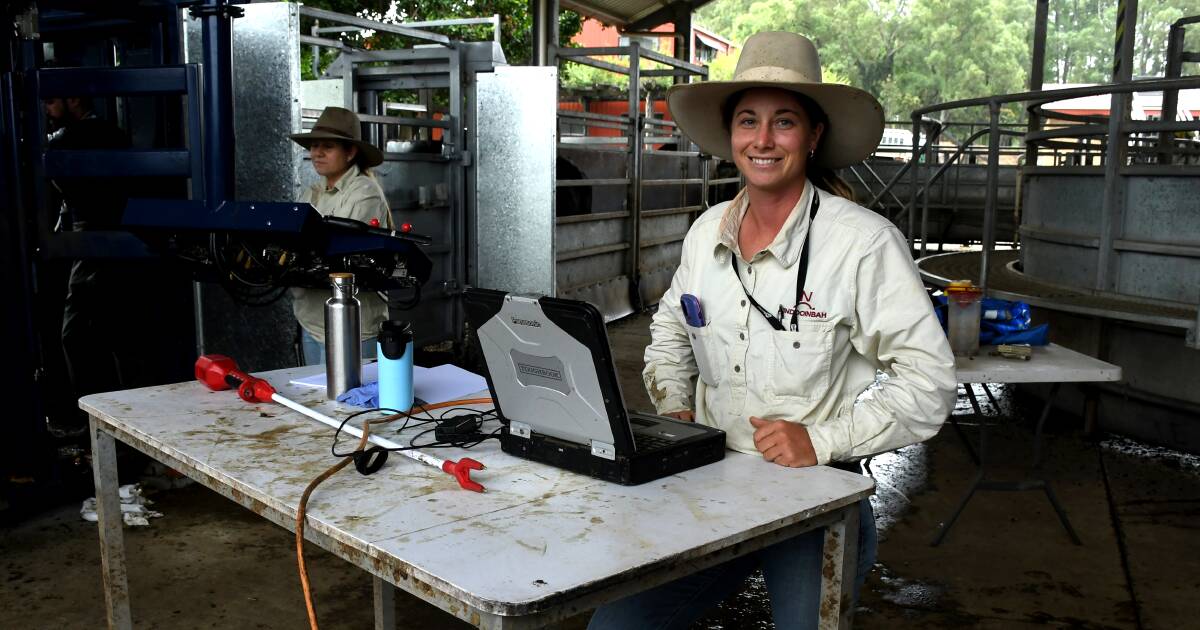 Agriculture traineeship graduates on the rise