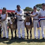 Illawarra heifer claims junior champion ribbon with winning roots | The Land