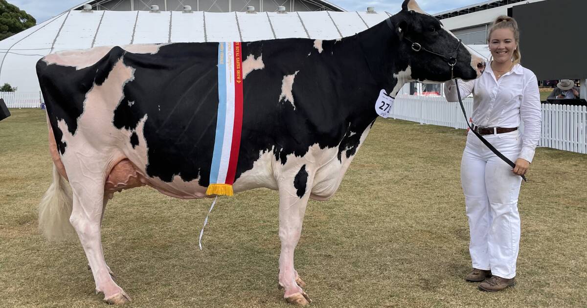 Supreme interbreed champion crowned at Sydney Royal Dairy Show | The Land