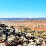 Success for a complex carbon farming project in outback WA | Farm Weekly