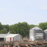 Biennial Silage for Beef Conference set for June 20