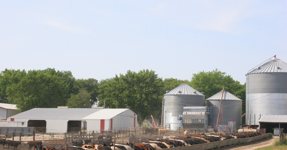 Are beef producers interested in cooperative business models?